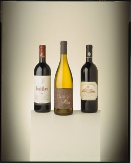02 Vino Berardenga - Castell'invilla - Rampolla